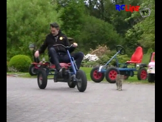 Wenker 2009 - Alkohol am Steuer