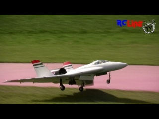 DANACH >: Wild Hornet - Jets over Grenchen 2009
