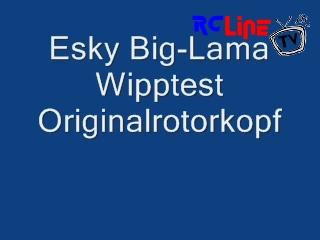 AFTER >: Esky Big Lama