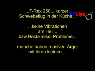 < DAVOR: T-Rex 250 in der Kche!