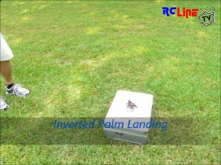 AFTER >: My first palm landing