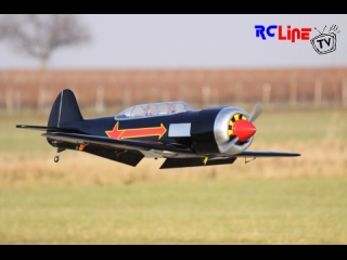 < DAVOR: Graupner Yak 11 als Blyak Moose 6