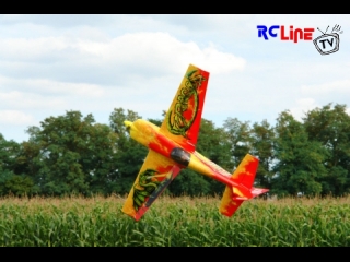 DANACH >: Flugtag Freckenfeld 2008 8