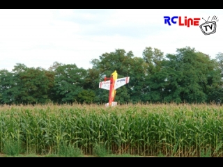 < DAVOR: Flugtag Freckenfeld 2008 10