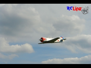 Flugtag Freckenfeld 2008 11