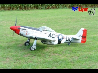 < DAVOR: Flugtag Freckenfeld 2008 13