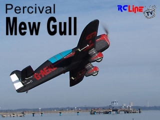 Percival MEW GULL